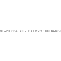 Recombivirus? Mouse Anti-Zika Virus (ZIKV) NS1 protein IgM ELISA kit, 96 tests, Quantitative